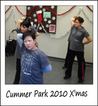 Cummer Park Community Centre - Holiday Party 2010